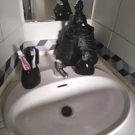 Typical Parisian Flat Melun